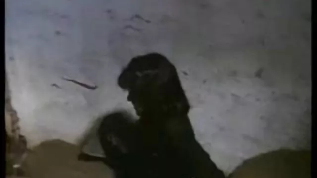 أفضل الاباحية أي تسجيل رائع الاباحية الهواة مقطع فيديو سكس عرب الأسود الديك الاباحية نجمة