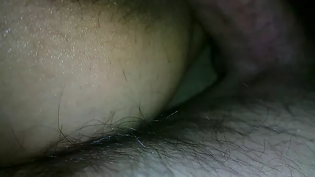 أفضل الاباحية أي تسجيل في عملية القط مقطع سكس عربي مجاني