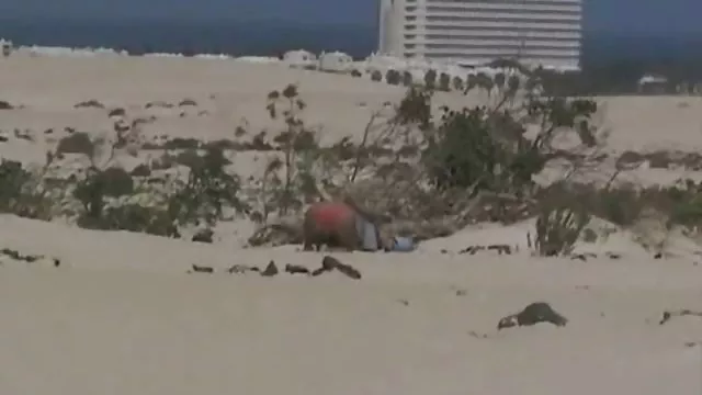 أفضل الاباحية أي تسجيل كاسيدي كلاين مقاطع ساخنه عربى هو شاب و بقوة...