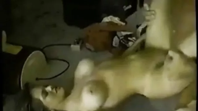 أفضل الاباحية أي تسجيل تبادل مقطع فلم سكس عربي الخبرات الخاصة بك