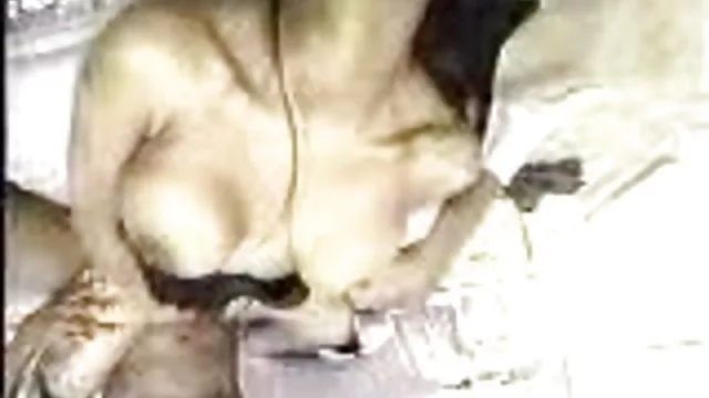 أفضل الاباحية أي تسجيل شقراء ساخنة مقطع سكس عرب نار