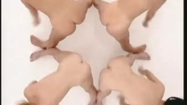 أفضل الاباحية أي تسجيل برنارد مقطع سكس عربي قصير